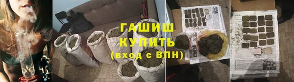 гашик Заводоуковск