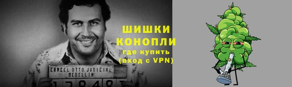 гашик Заводоуковск