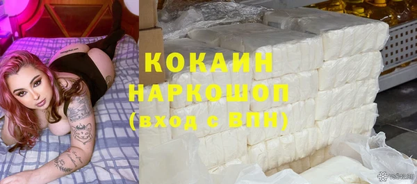 гашик Заводоуковск