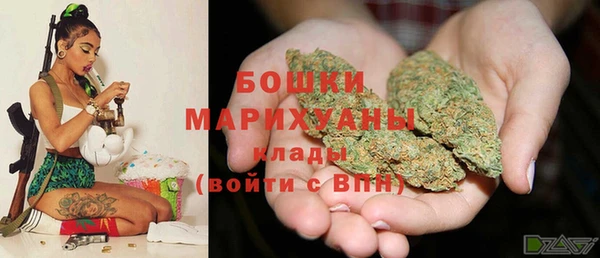 гашик Заводоуковск
