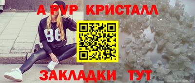 шишки Гагарин