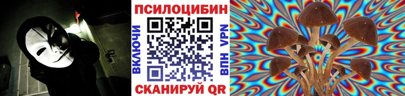 Галлюциногенные грибы Psilocybe цены Зеленодольск