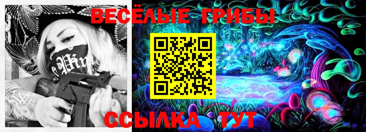 магазин продажи   Зеленодольск  Псилоцибиновые грибы Cubensis 