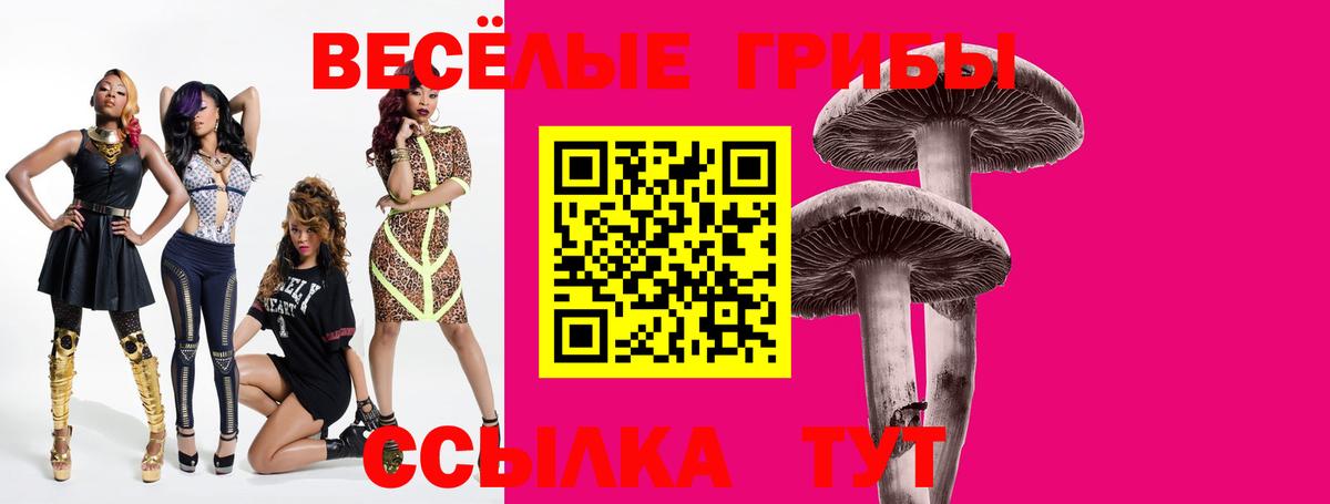 Галлюциногенные грибы GOLDEN TEACHER Зеленодольск