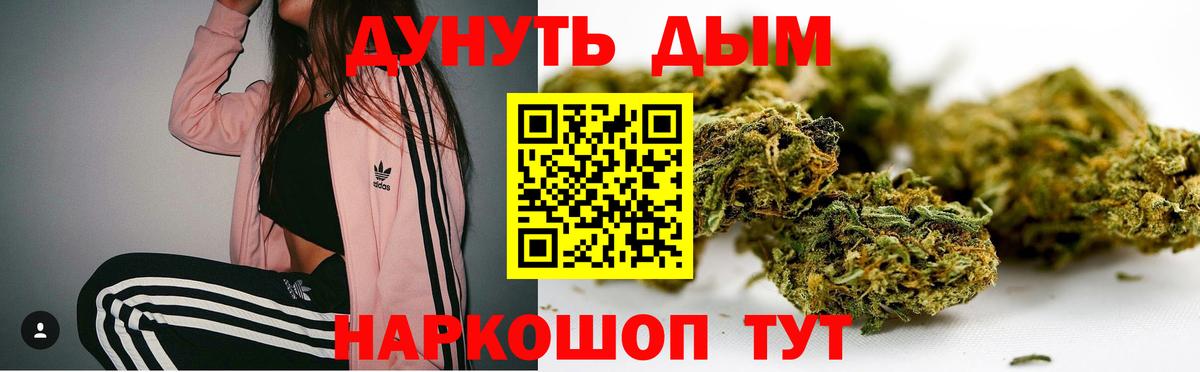 Каннабис сатива Зеленодольск